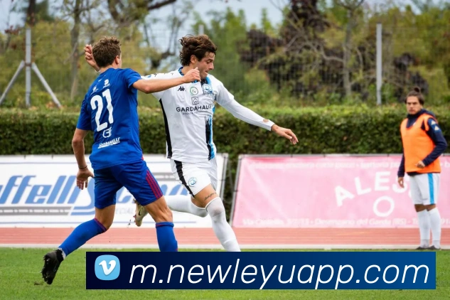 乐鱼体育平台生态图