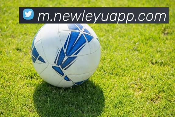 乐鱼体育全站App